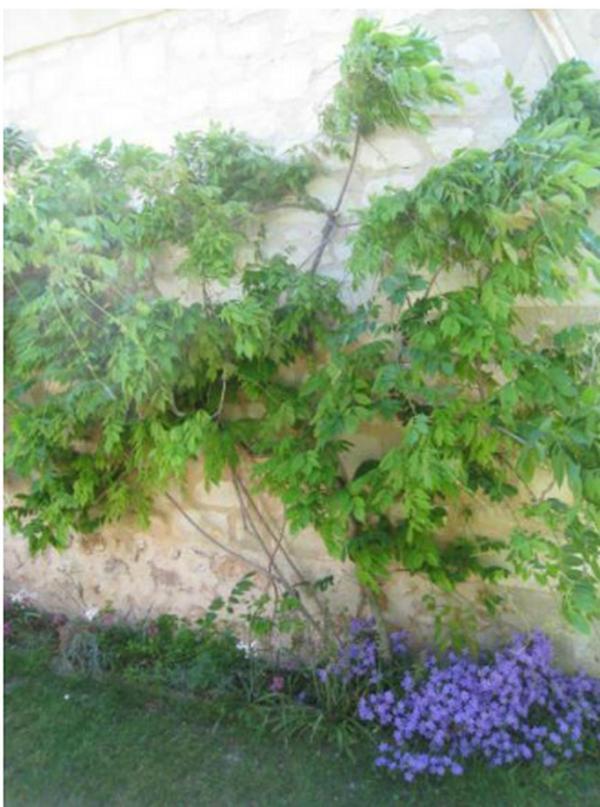 Le Clos De La Chapelle - Gite Les Glycines Bagian luar foto